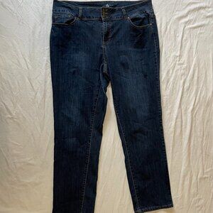 Ashley Stewart Modern Straight Leg Jeans